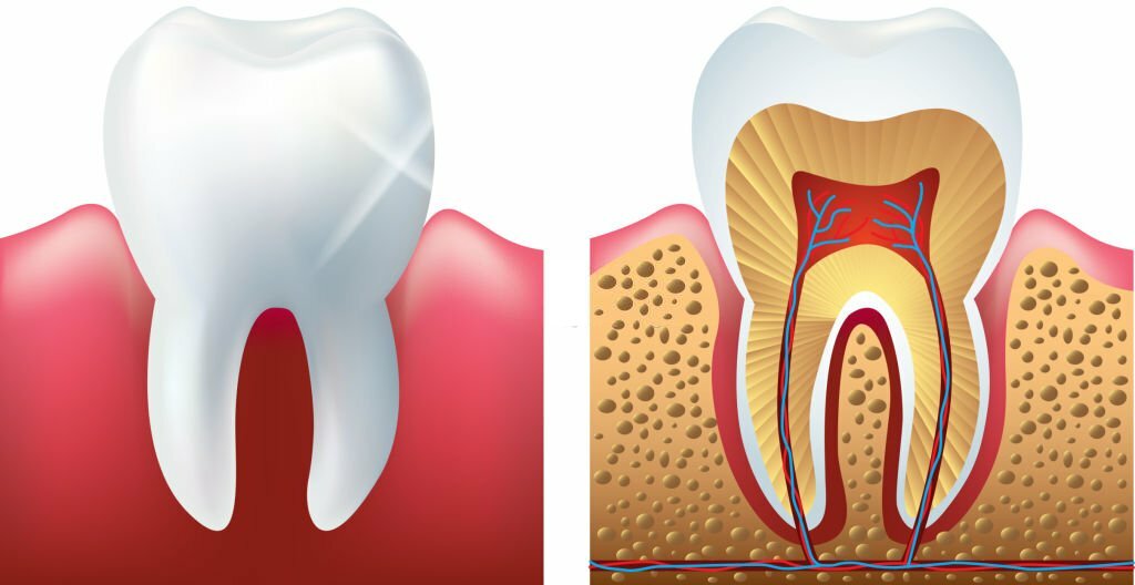 How To Choose The Right Root Canal Dentist In Charlotte, NC_1